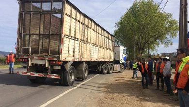 Photo of Camioneros cortan ruta en Purén
