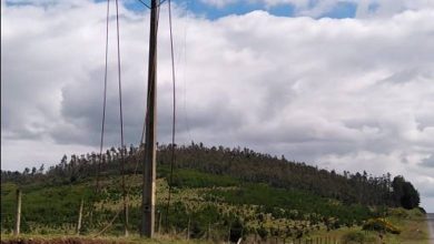 Photo of Cinco nuevos robos de cables provocan corte de energía en sectores rurales de la Araucanía