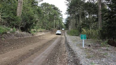 Photo of A fines de noviembre se inician obras de pavimentación de la Ruta S-61 Melipeuco – Icalma