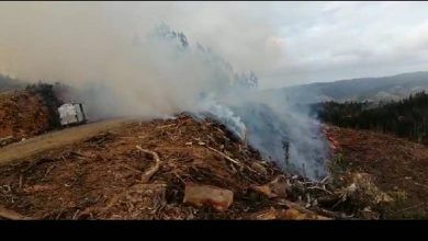 Photo of La Araucanía: Atentado deja tres máquinas forestales quemadas