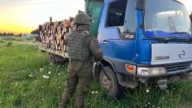 Photo of Carabineros detiene a 3 sujetos e incauta un camión por sustracción de madera en Ercilla