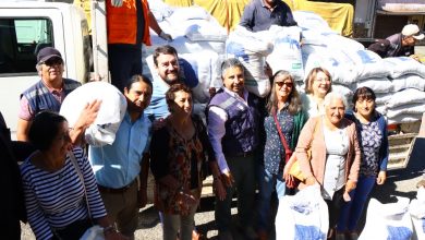 Photo of Con recursos del gobierno regional entregan más de 100 mil kilos de alimentos para animales de pequeños agricultores de Curacautín