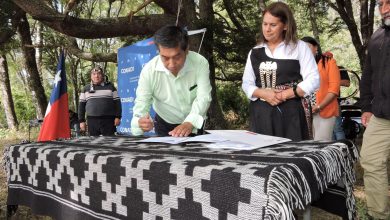 Photo of Comunidad mapuche de Vilcún restituyó 166 hectáreas de tierras altamente productivas adquiridas por CONADI