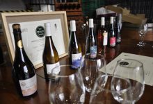 Photo of Ruta del Vino Araucanía lanza sitio online para reservar experiencias turísticas vitivinícolas durante todo el año